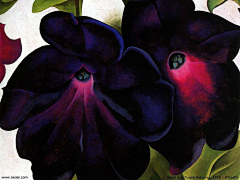 艾敏Amin花瓣采集到georgia o'keeffe