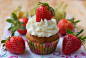 cupcakes-5441972_1280