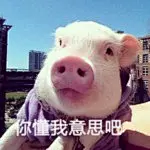 带着微笑入睡表情包_带着微笑入睡表情包下载_带着微笑入睡动态gif表情图-4399聊天表情包大全