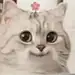 啊陈哈哈