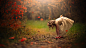 People 1920x1080 little girl forest blonde fall depth of field Jake Olson red shoes