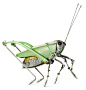 insects-and-animals-made-from-scrap-metal-and-bike-parts-edouard-martinet-4