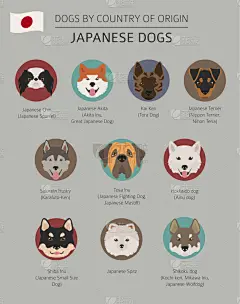 非都市风光,日本,狗,起源,可爱的,宠物,图像,矢量,分离着色,收集