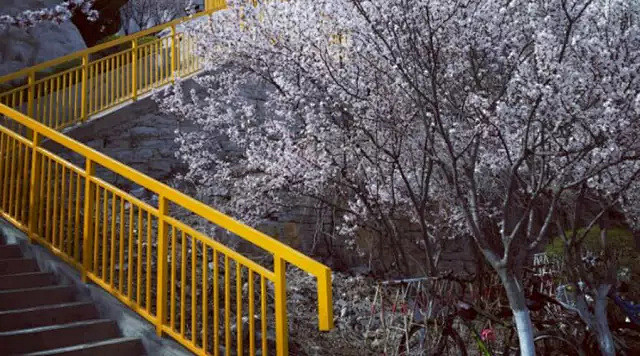 山建风景