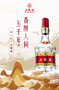 【酒厂直营】第八代五粮液52度500ml*2瓶浓香白酒商务宴请普五-tmall.com天猫