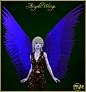 Prae-Angelic Wings for G3 3D Figure Assets prae : These Angelic Wings can be used to create many angelic creatures, whether fallen or divine, Nephilim or  
Seraphim or beautiful Christmas Angels.
They are for Genesis 3 female and male and come with 10 tex