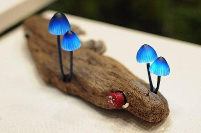 你一定奇怪为何这些枯木头上长出的蘑菇竟然...