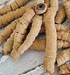 巴戟天中药材正品250g盐巴戟天泡酒药材巴戟天中药饮片制巴戟天粉-tmall.com天猫
