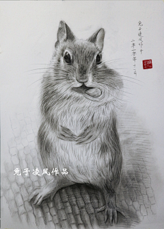 北冥暗裔采集到1