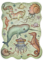 Vladimir Stankovic，塞尔维亚插画师，现居芬兰，作品大多描绘诡异的昆虫及植物