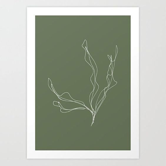 Hand drawn kelp illu...