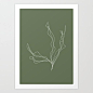 Hand drawn kelp illustration 2