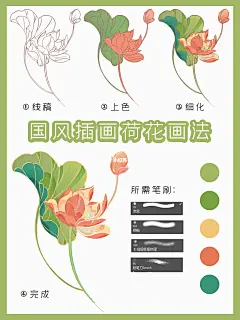 【国风插画】|荷花荷叶组合画法✨