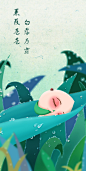 这张是在白露时节创作的插画作品