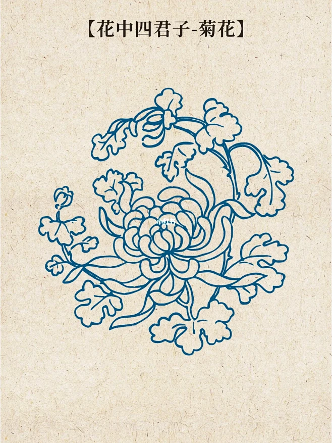 每日一画｜中国传统纹样图案｜花中四君子纹-花瓣网