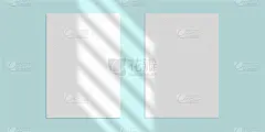 矢量模拟阴影叠加效果。透明柔和的光线和窗户的阴影。透明窗影和自然闪电模型