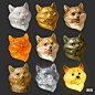 Material studies, miji lee : Shiba dog