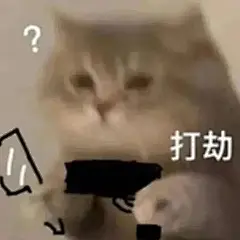 发疯抽象小猫表情包_02
