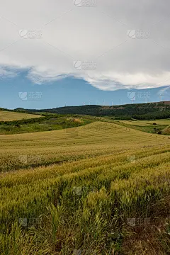 卡米诺·圣地亚哥在宽恕的巅峰