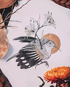 你就承认吧，别人用简单的线条画出这么好看的手绘，你是羡慕的