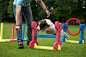 Small Dog Agility - Our four pieces are made from a soft but rigid foam board and can be assembled in a matter of seconds. They even come in their own clear bag for carrying and storage. The height of the Hurdle and Hoop can be adjusted to suit different 