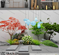 园林景观小景3Dmax模型新中式禅意3D模型花园庭院假山竹子植物墙-淘宝网