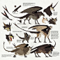 REF Thornwhip Griffins by Novere on deviantART