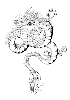 王兀采集到练习
