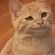 寺里马赛
