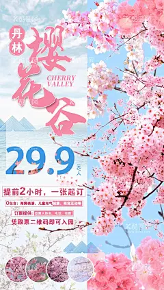 樱花谷旅游海报  - 源文件下载【酷图网】丹林樱花谷,樱花谷,樱花,赏花,旅游,海报,周边游,粉色,亲子
