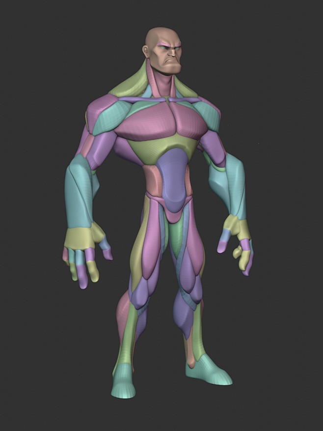 Stylized Hero Anatom...