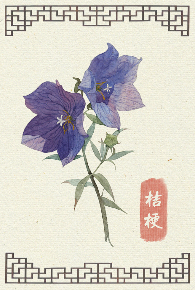 水彩手绘花卉 