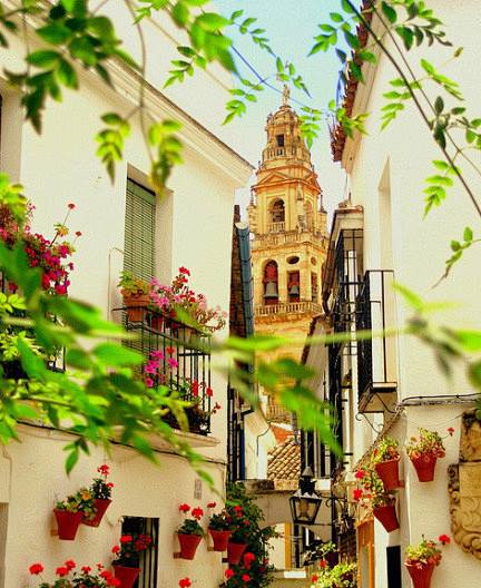 
西班牙，科尔多瓦，整个城区是一片花的海...