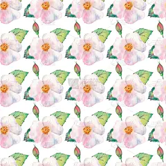 无缝模式。花和果实的玫瑰果水彩画。花的插图。波西米亚花束，花环，婚礼组合，周年纪念，生日，请帖贺卡