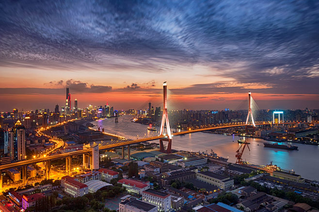 杨浦大桥 - 上海, 风光, 城市, 《...