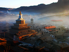 杨癫疯~采集到青海
