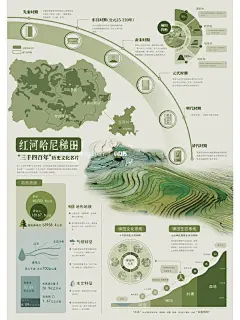红河哈尼梯田信息图表设计 - 小红书