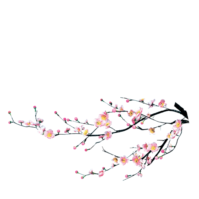 古风免抠素材丨花