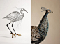 Bird Sculptures Constructed from Wire by Celia Smith Look like Detailed Sketches wire sculpture birds 