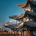 ForEnzo祖，高清，素材，地产，综合体，建筑，建筑单体，海景房，江景房，办公楼，空间，3D，C4D，软装，室内，商铺，店铺，高楼，大厦，商场，设施
● 更多高清素材：https://huaban.com/wp0bxugvcd/