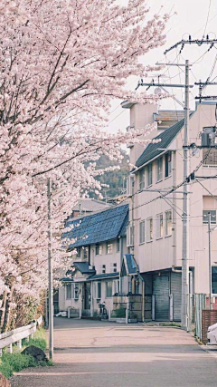 二月十四日~采集到街景-1点