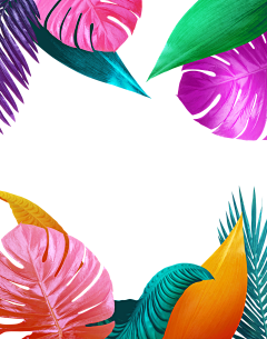 -awei采集到花