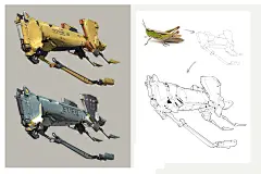 飞行小蝗虫Flying locust