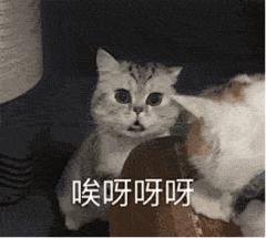 沙雕动图表情包更新，礼貌拿图

哎呀
说好要宠我，你现在凶我什么意思
对你爱心发送
欢迎新人，热烈欢迎
等我涂好口红就去亲你...展开全文c