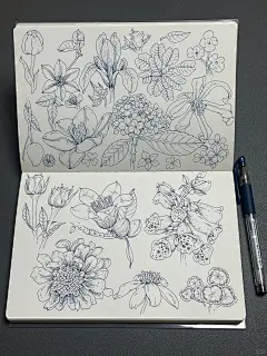 花卉插画手绘_1_灰灰的世界_来自小红书网页版