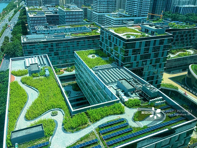 深圳湾科技生态园办公楼顶层花园图片素材-花瓣网