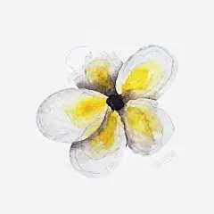 手绘茉莉 元素 免抠png 设计图片 免费下载 页面网页 平面电商 创意素材