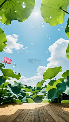蜜桃耶-采集到海报设计
