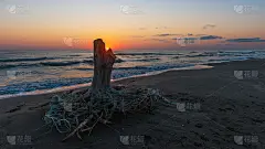 海面上的日出，岸边的老木桩