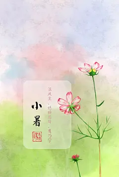 11-小暑